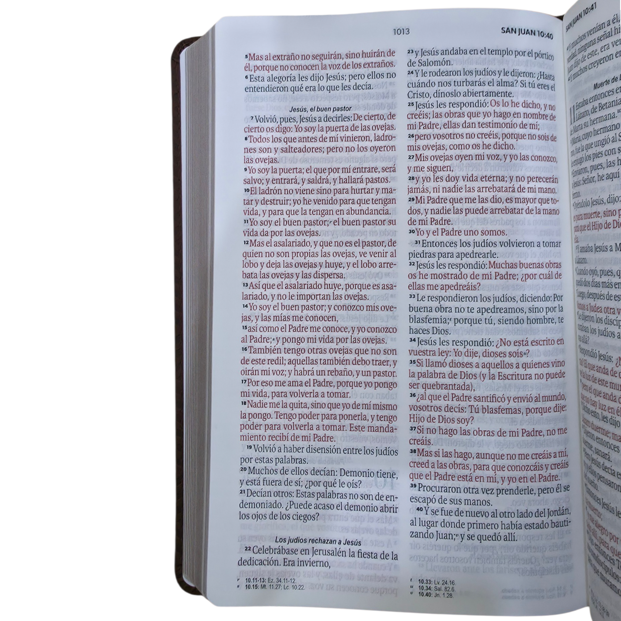 Biblia Reina Valera 1960 Letra grande con Solapa Levítico