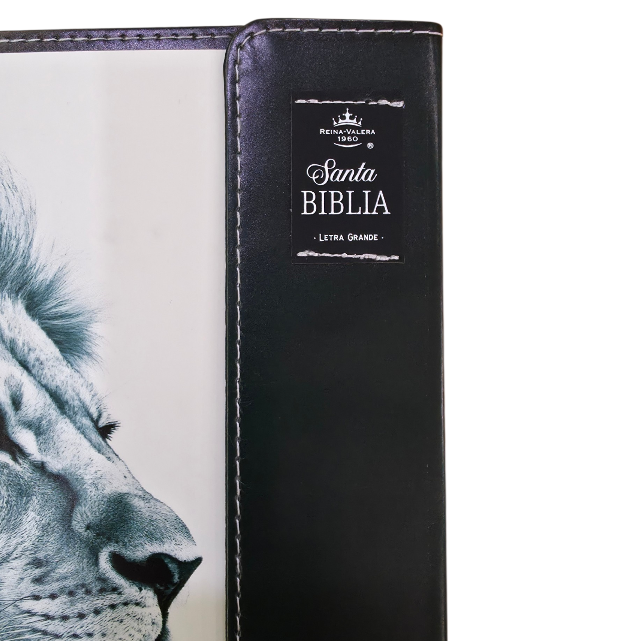 Biblia Reina Valera 1960 Letra grande con Solapa Levítico