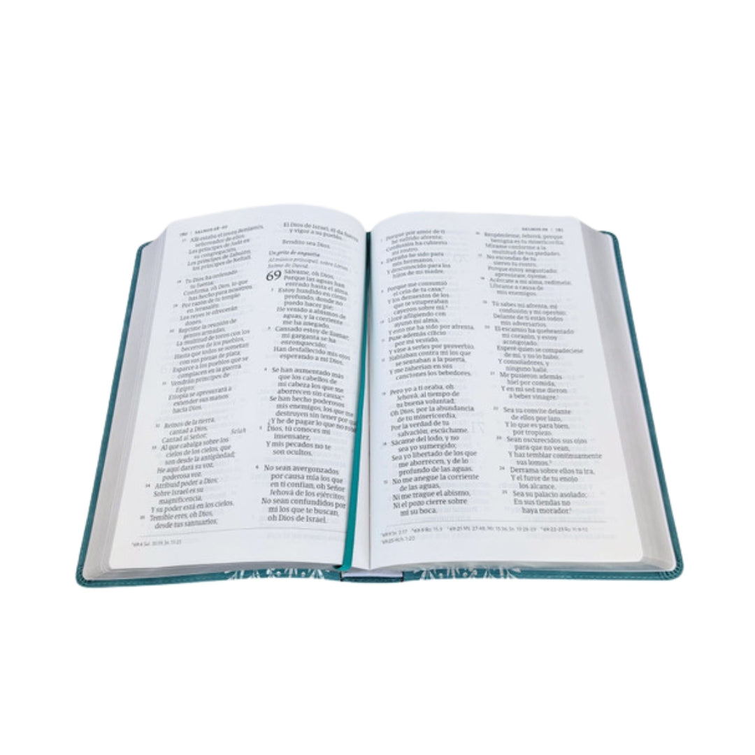 Biblia con Letra Gigante RV1960, imit piel verde esmeralda