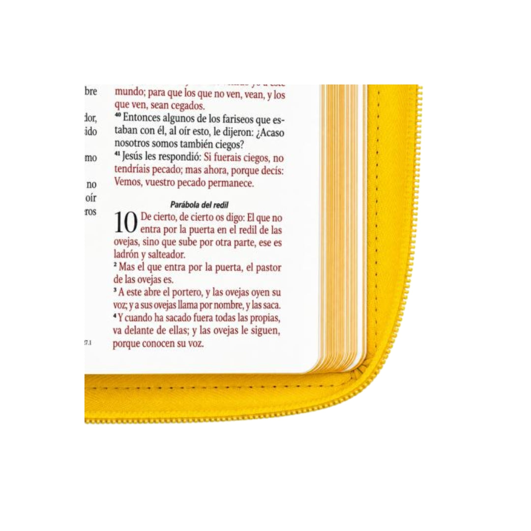 Biblia Reina valera 1960 Obsequios Y Premios Amarillo Abejas Con Cierre