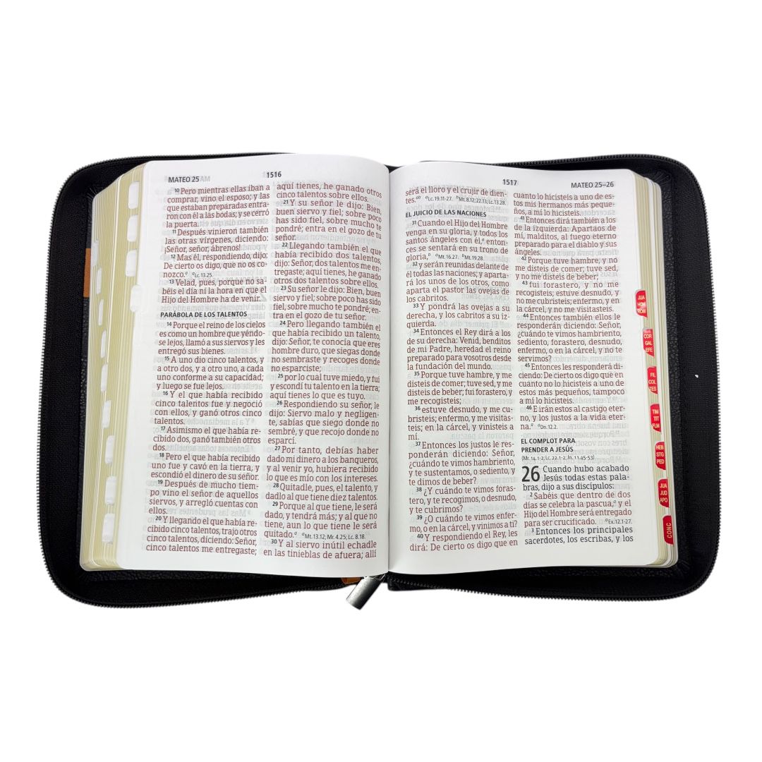 BIBLIA REINA VALERA 1960 LETRA GIGANTE MANUAL NEGRO/ CARAMELO CIERRE INDICE SIMIL PIEL