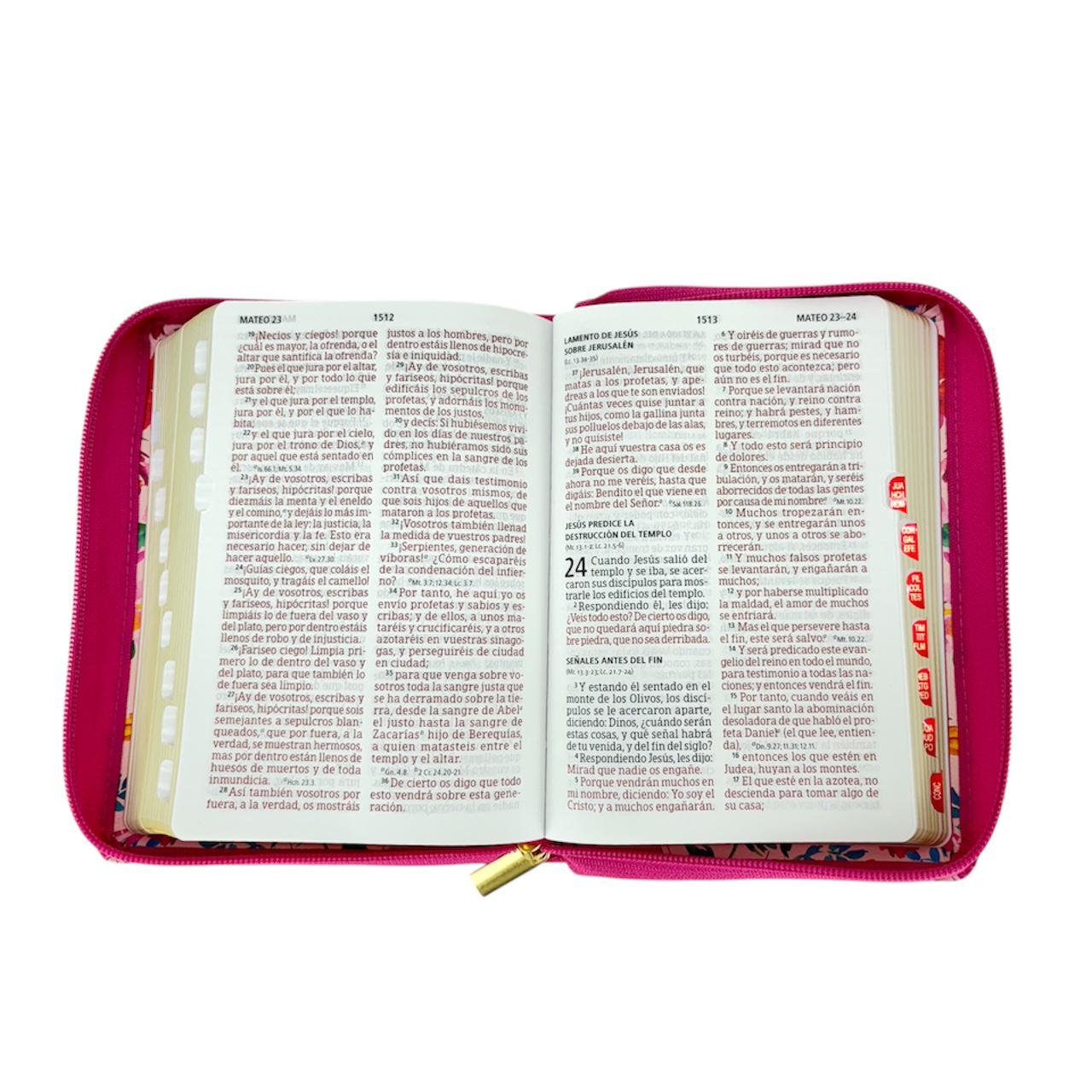 BIBLIA REINA VALERA 1960 LETRA GRANDE COMPACTA EDICIÓN  LIMITADA CIERRE/INDICE