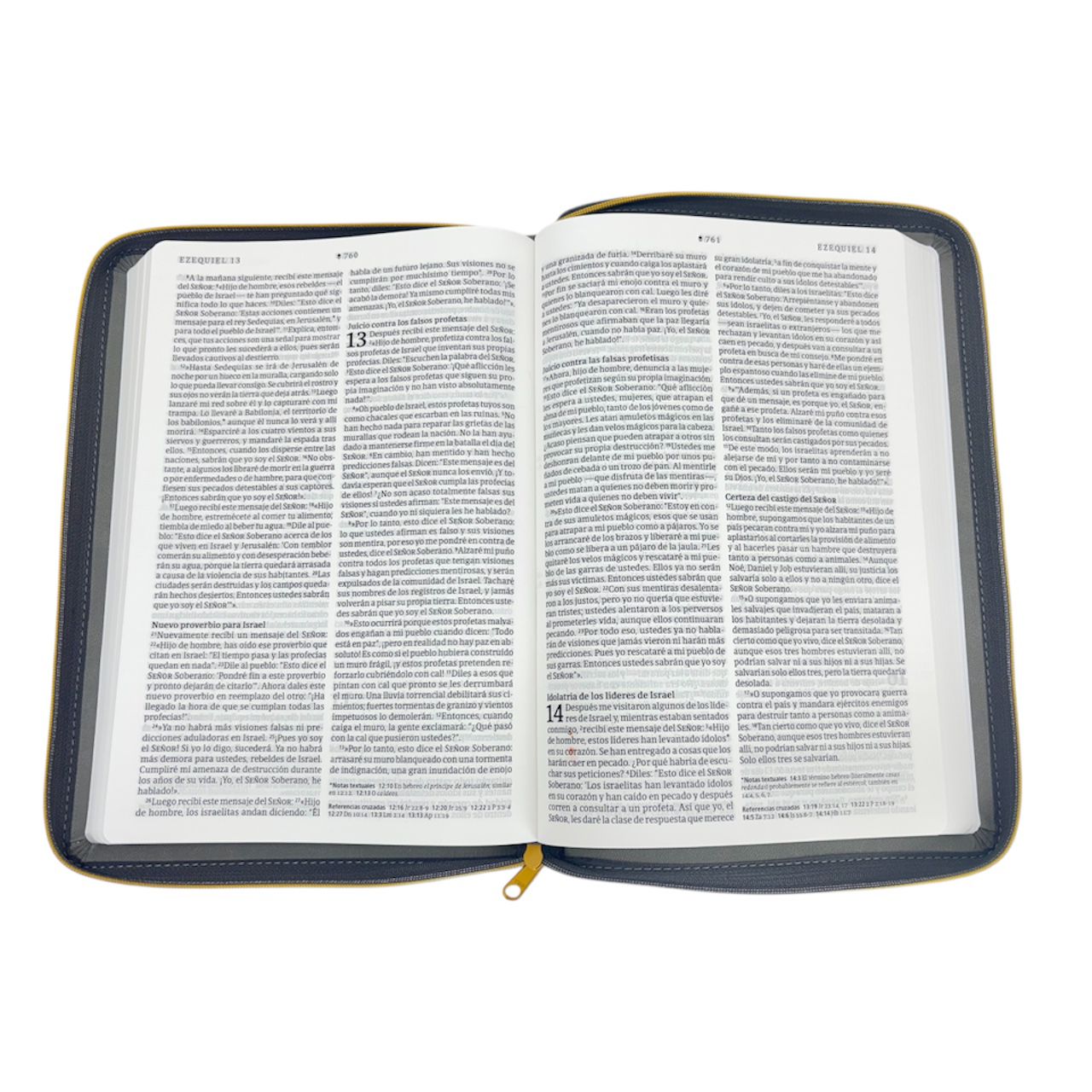 BIBLIA ULTRAFINA NTV LETRA GRANDE SENTIPIEL ZIPER GRIS