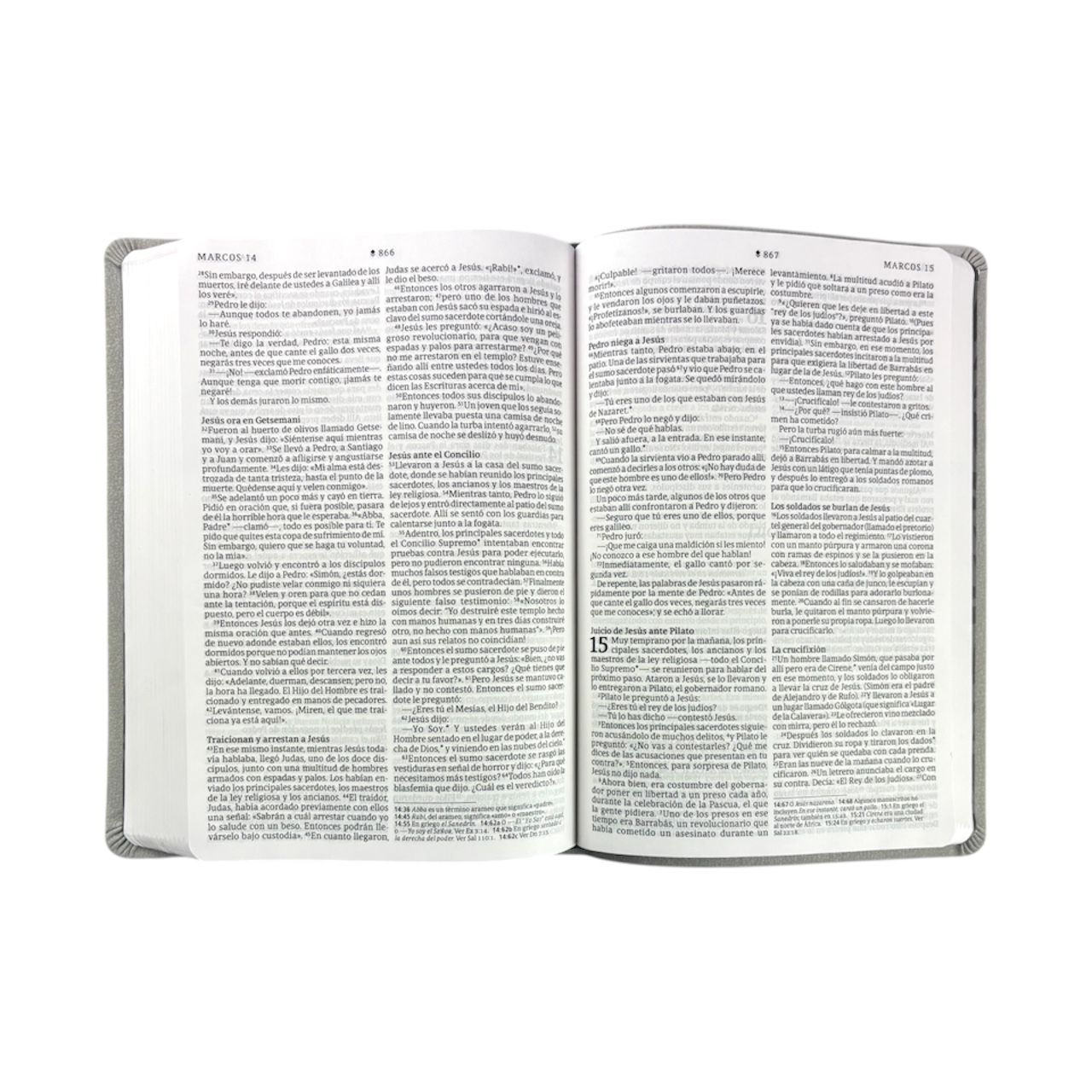 SANTA BIBLIA NTV LETRA GRANDE PRÉMIUM SENTIPIEL GRIS