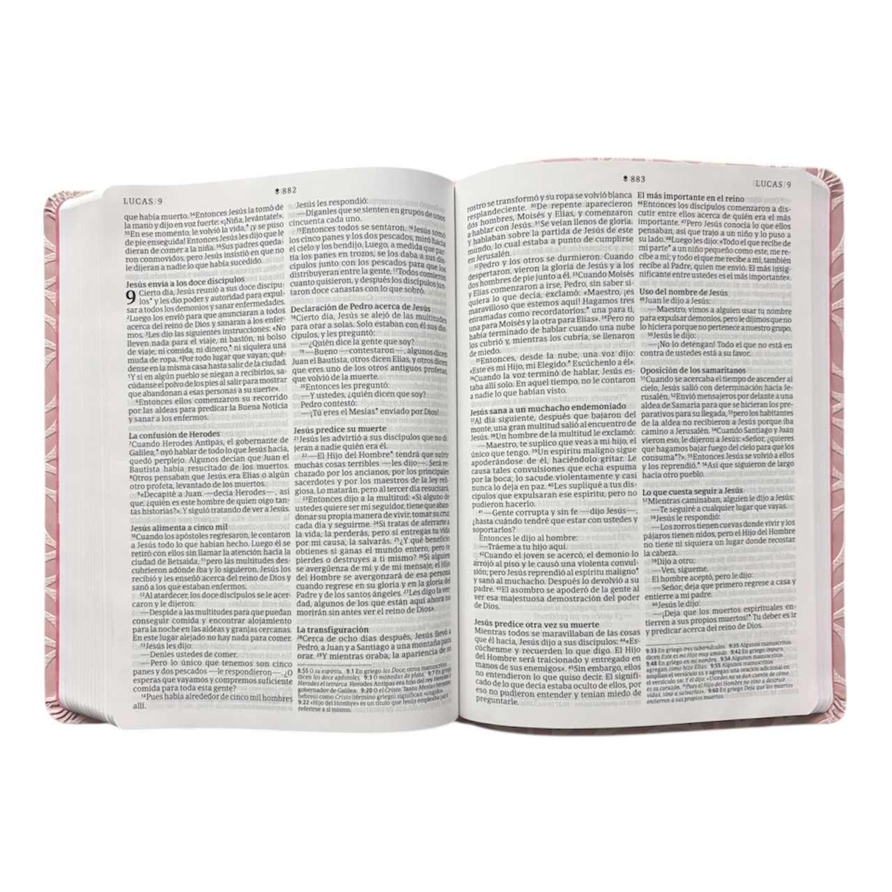 SANTA BIBLIA NTV LETRA GRANDE VALOR PRÉMIUM SENTIPIEL ROSA