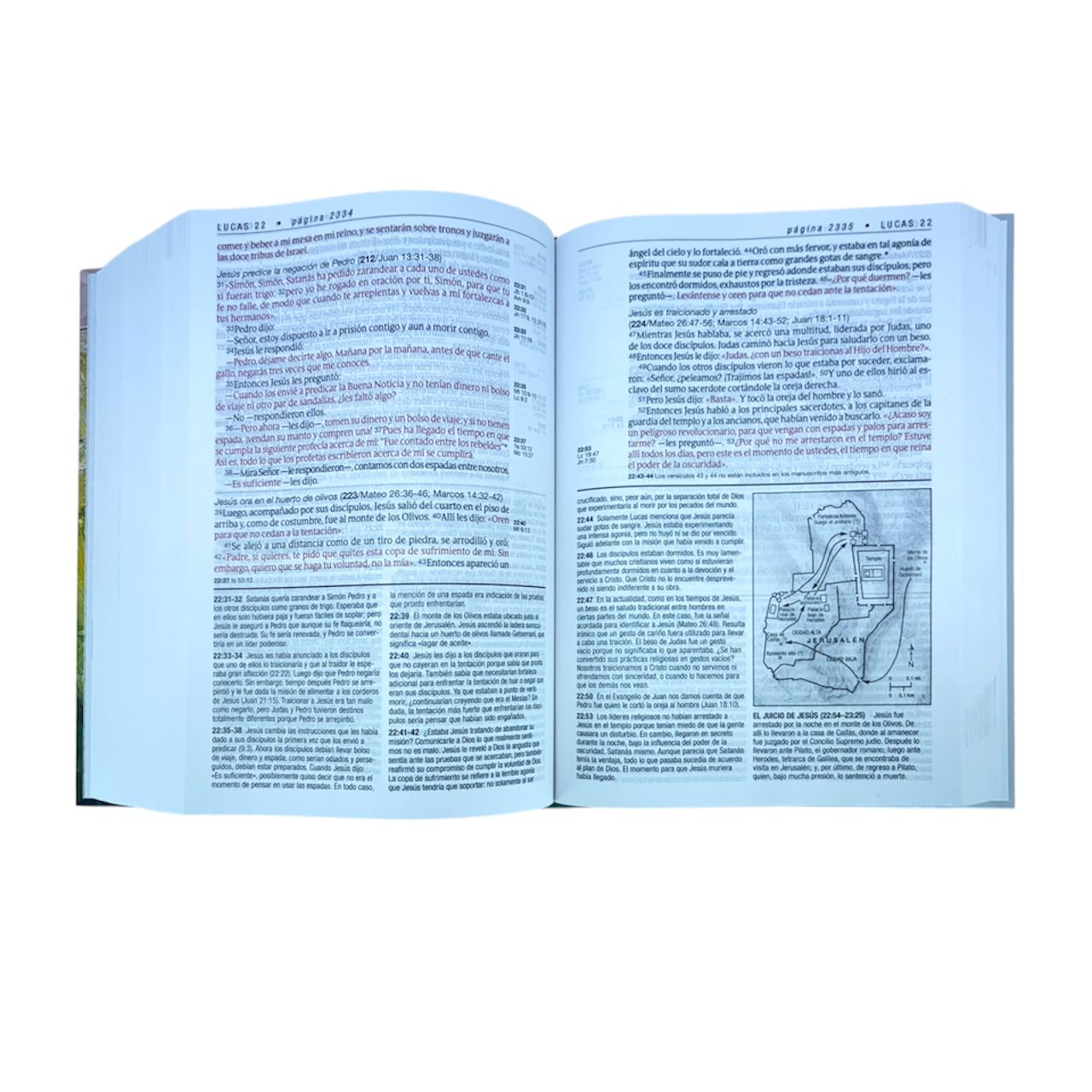 BIBLIA DE ESTUDIO DIARIO VIVIR LETRA GRANDE TAPA DURA