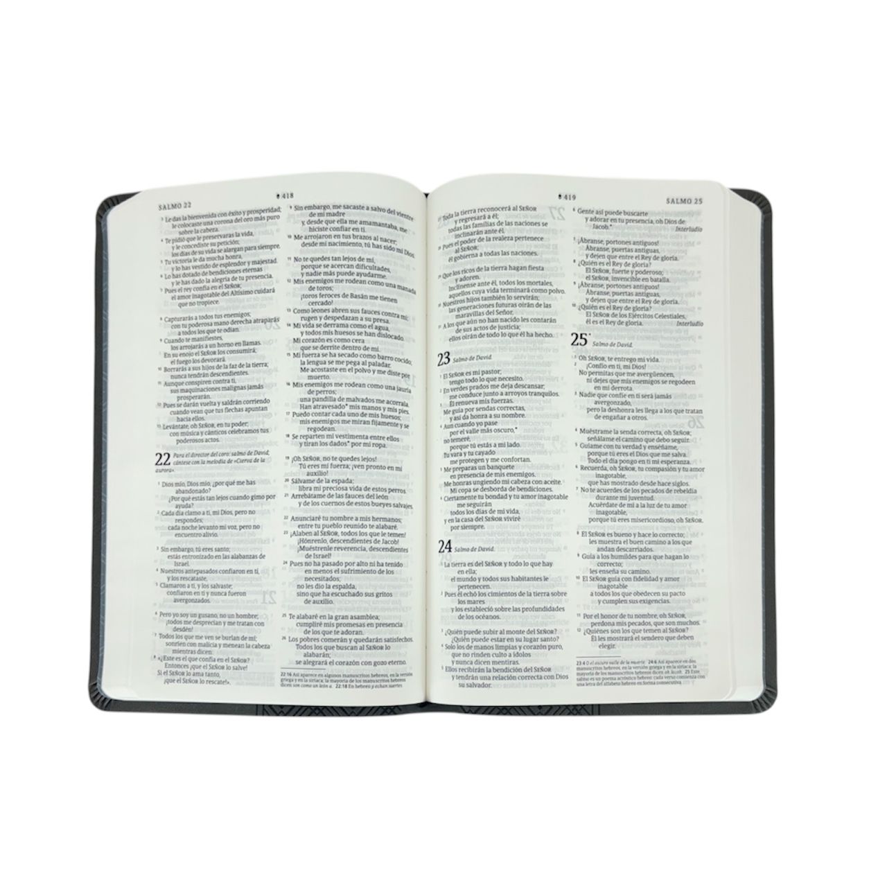 SANTA BIBLIA NTV LETRA GRANDE MANUAL SENTIPIEL GRIS