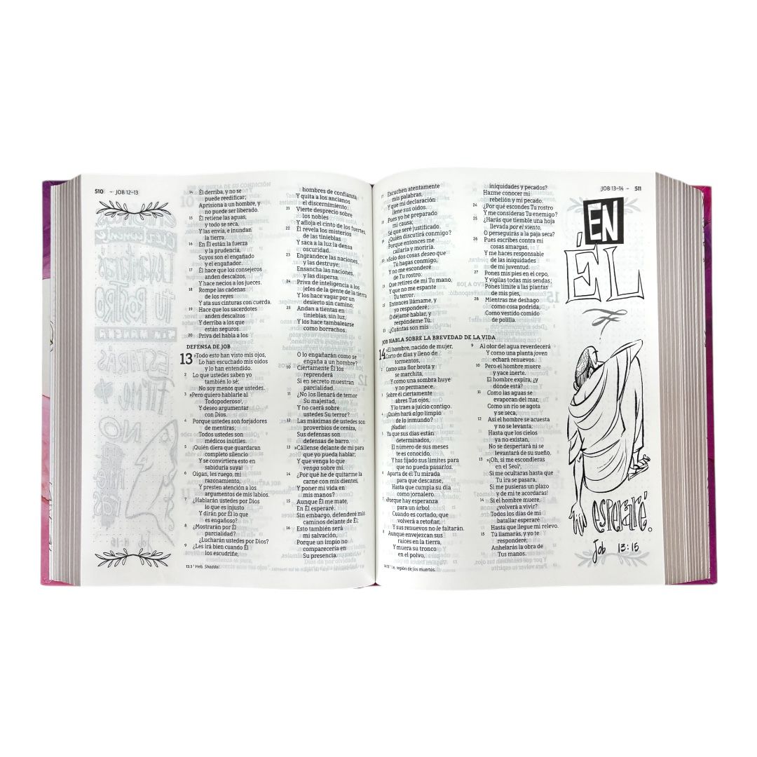 Biblia NBLA/Edición Artística Ilustrada/Rosado/Con Diseño Tapa Dura/Tela