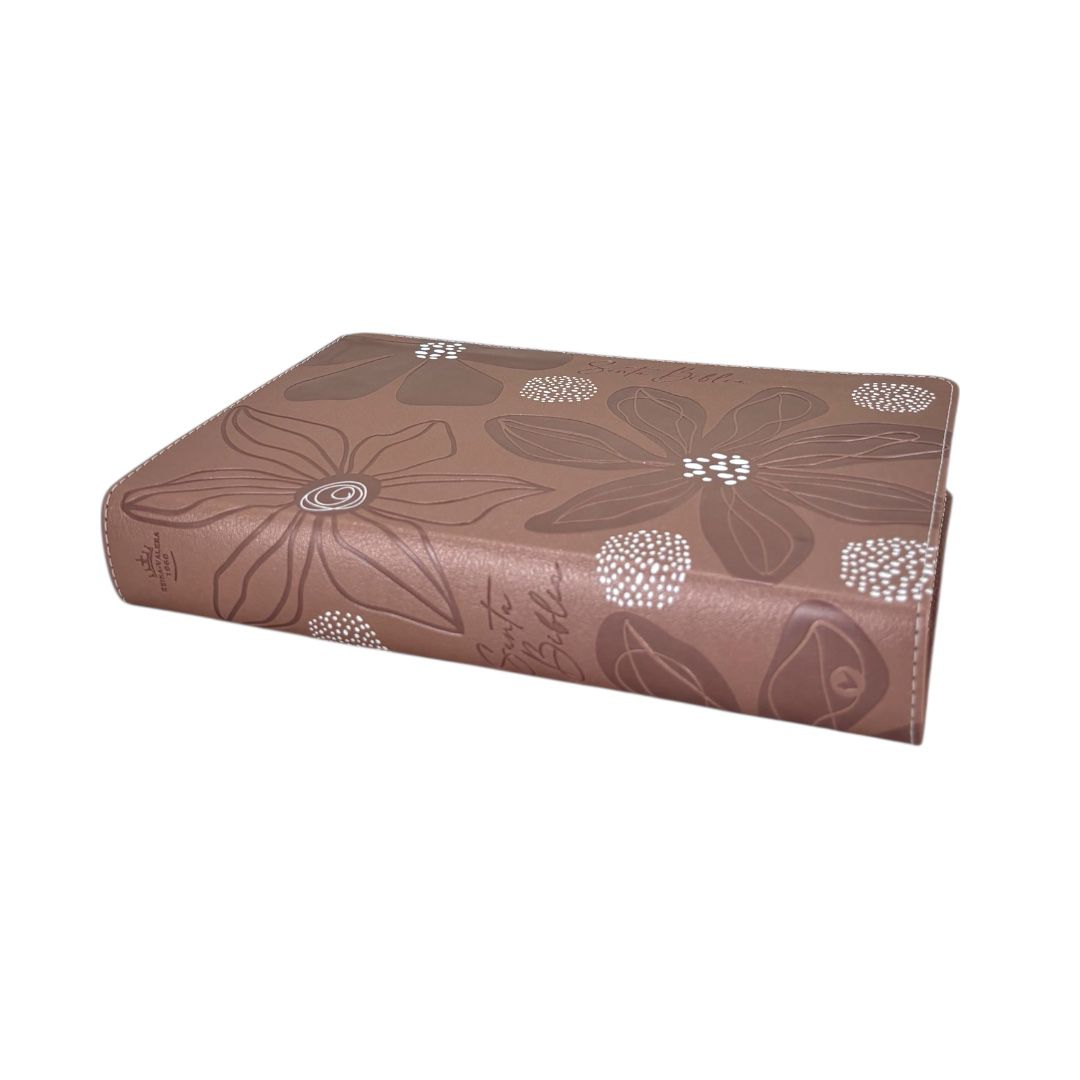 BIBLIA REINA VALERA 1960 DE ESTUDIO PARA JOVENES ROSA ORO