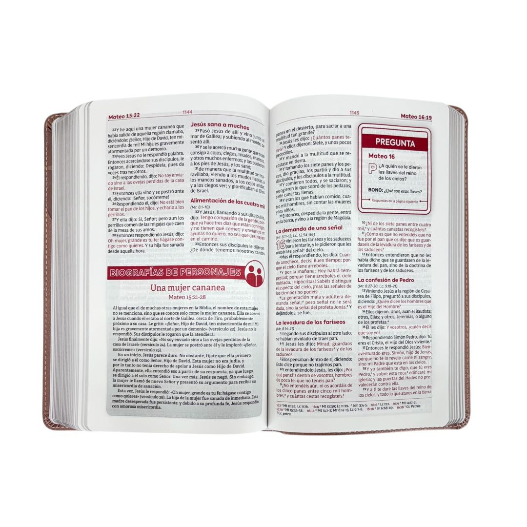 BIBLIA REINA VALERA 1960 DE ESTUDIO PARA JOVENES ROSA ORO