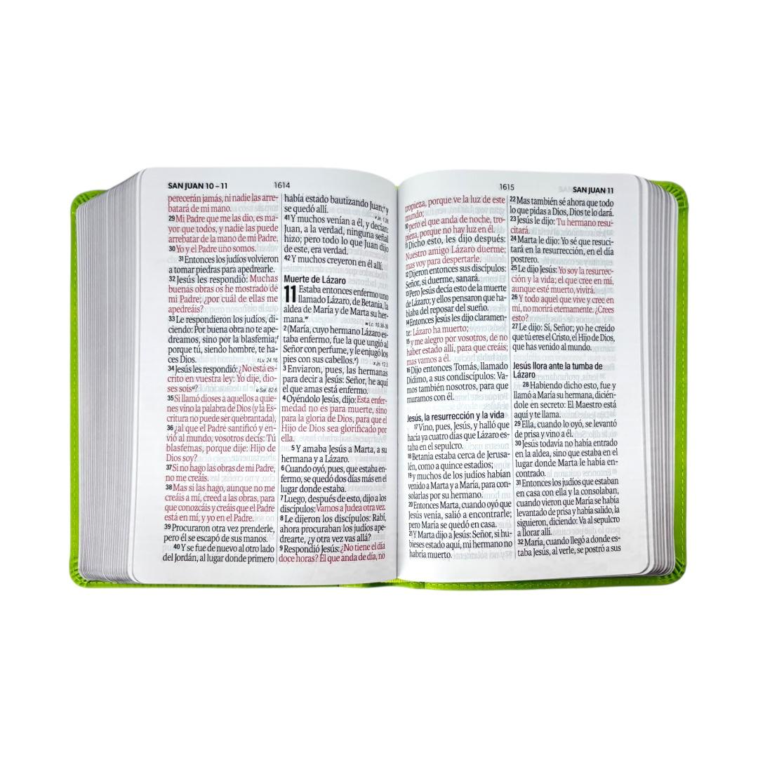 Biblia Reina Valera 1960 compacta letra grande imitacion piel neoclassic