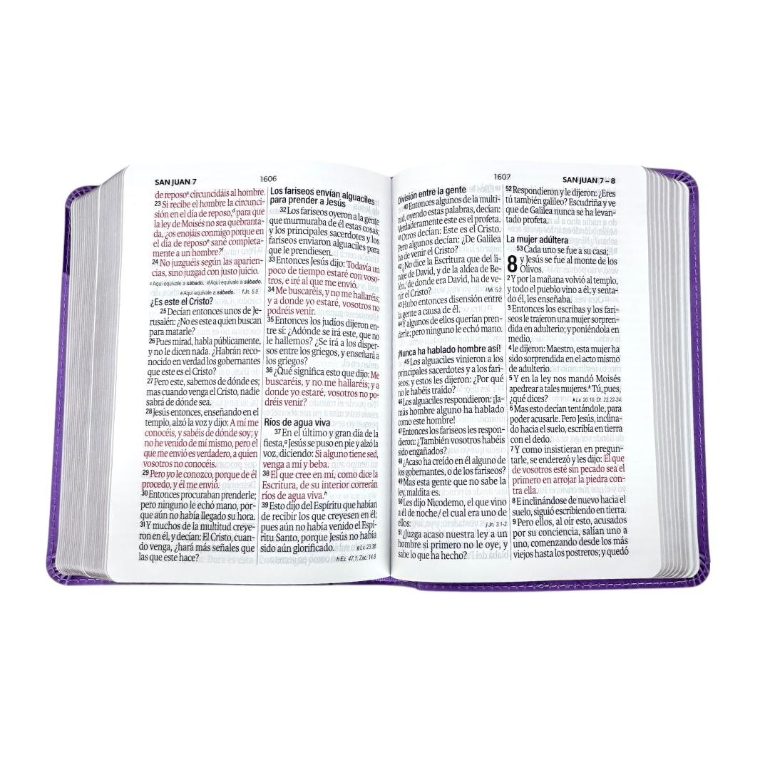 Biblia Reina Valera 1960 compacta letra grande imitacion piel neoclassic