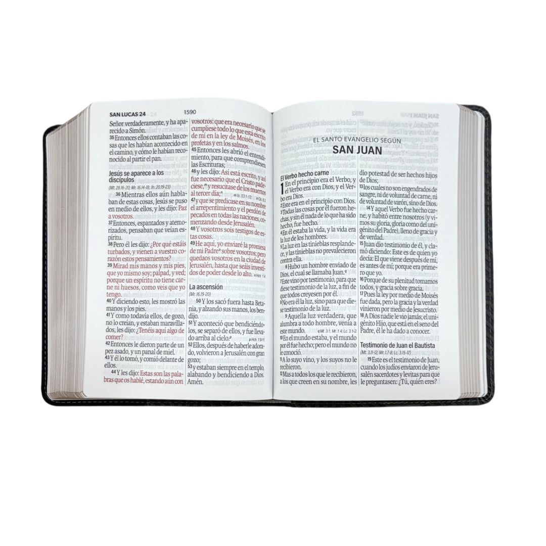 Biblia Reina Valera 1960 compacta letra grande imitacion piel bicolor gris/negro