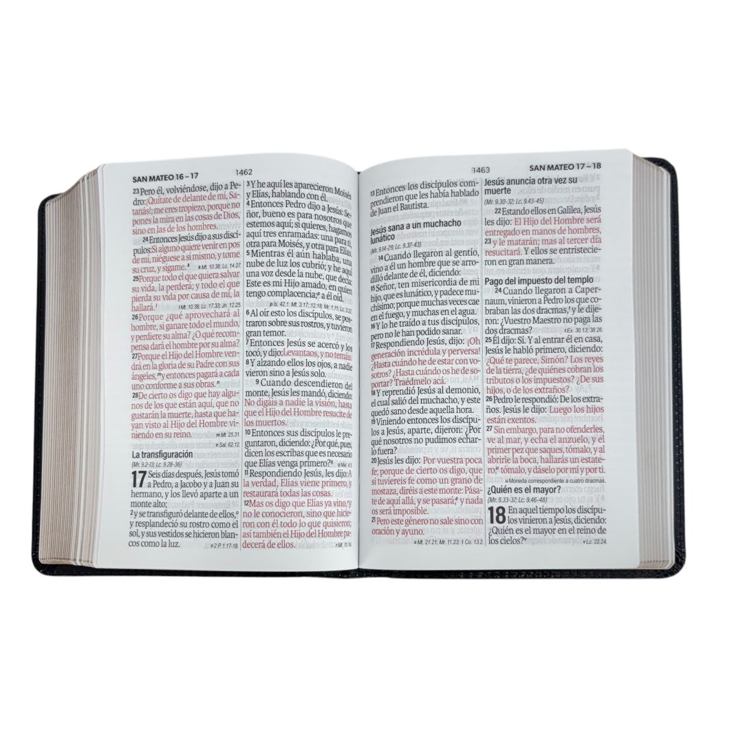 Biblia Reina Valera 1960 letra grande compacta imitacion piel negra conto dorado