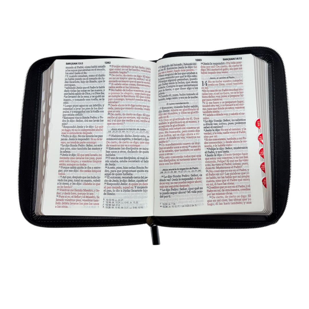 Biblia Reina Valera 1960 compacta letra grande cierre canto dorado c/indice cafe