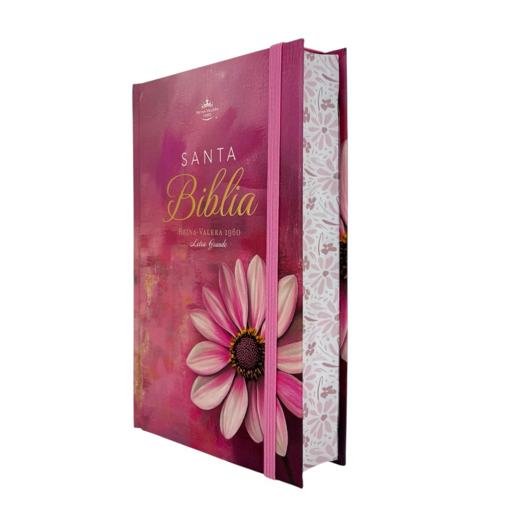 Biblia Reina Valera 1960 letra grande tamaño manual tapa dura flor rosa canto pintado