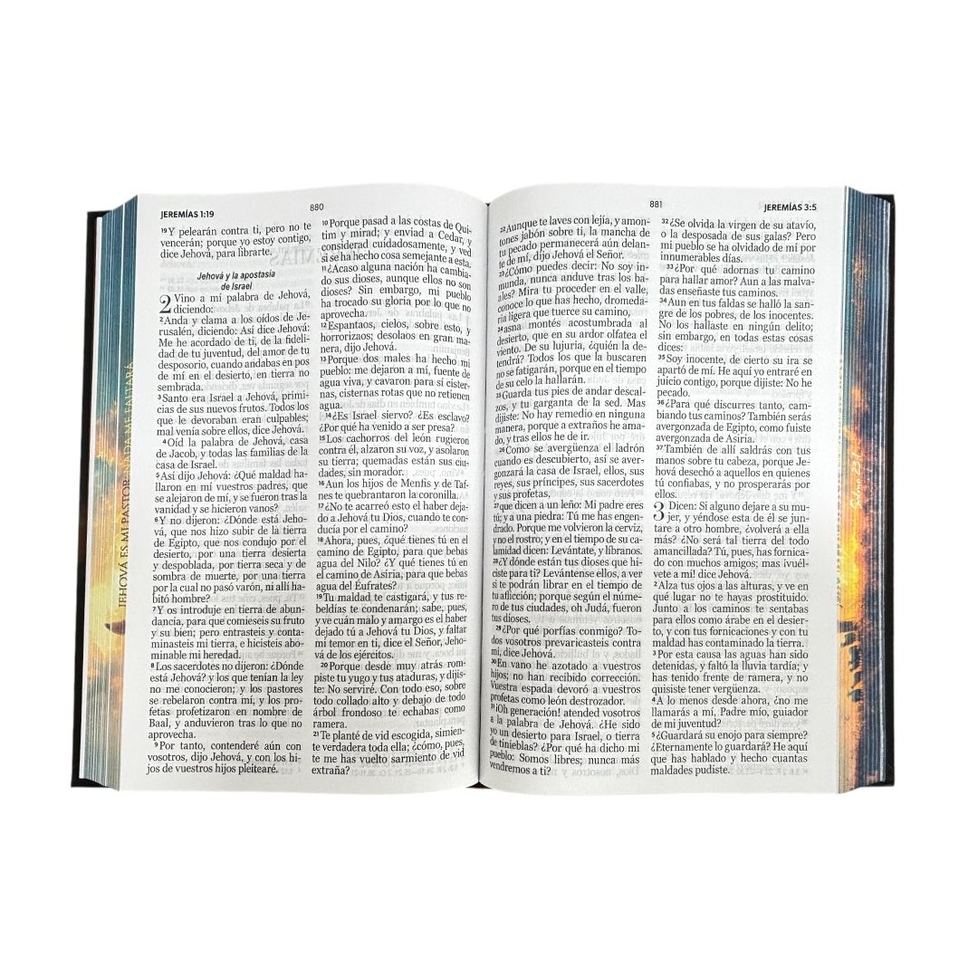 Biblia Reina Valera 1960 letra grande manual tapa dura canto pintado pastor