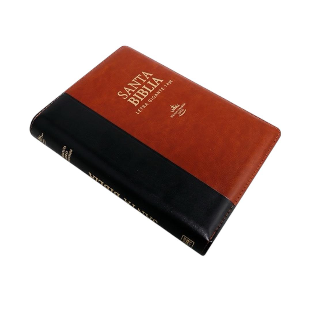 Biblia Reina Valera 1960 letra gigante tamaño manual negro/marron cierre