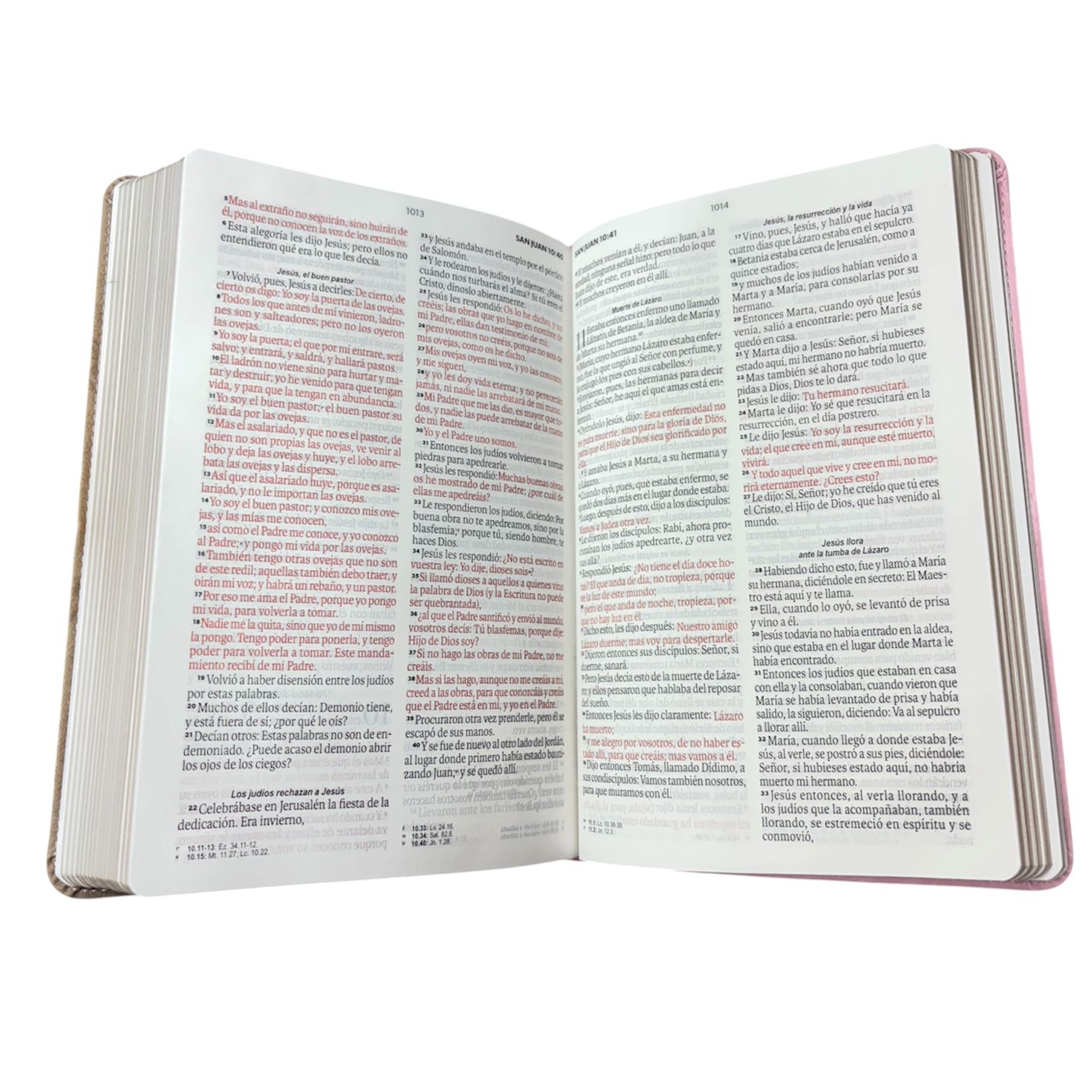 Biblia reina valera 1960 con elastico letra grande vintage imitacion piel Rosa/cafe