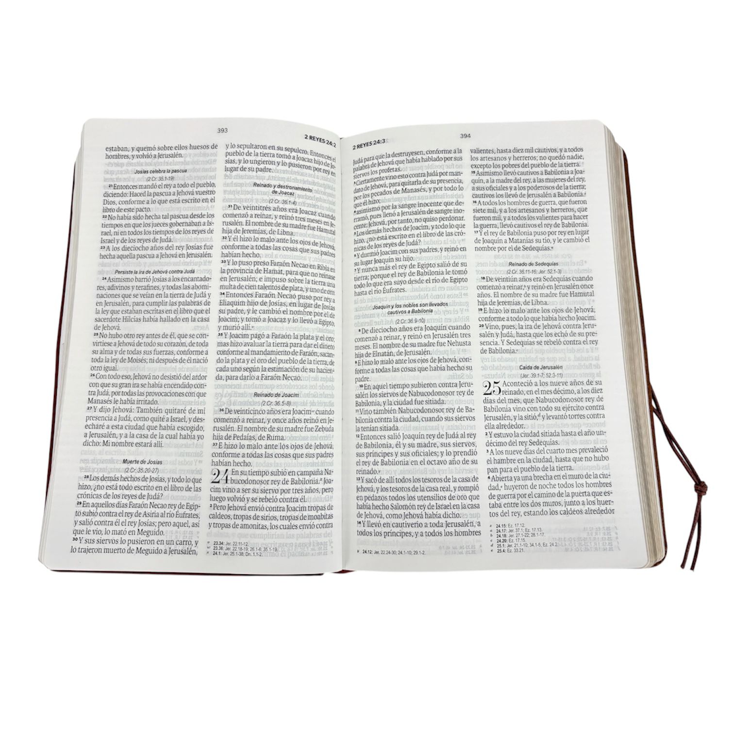 Biblia reina valera 1960 con elastico letra grande vintage cafe