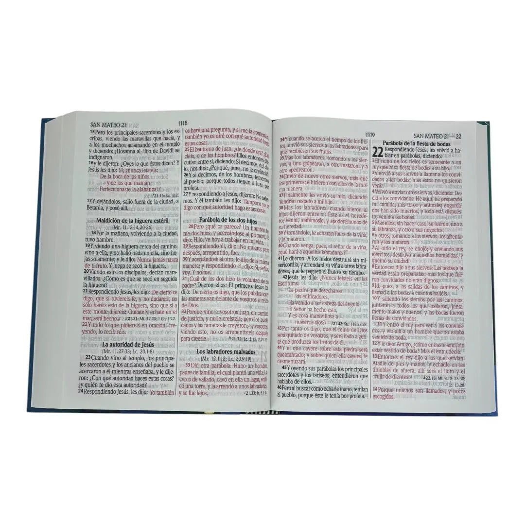 Santa Biblia RVR1960 Letra Gigante Tapa dura