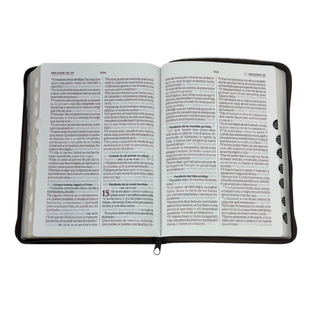 SANTA BIBLIA RVR 1960 LETRA GIGANTE CAFE C/CIERRE C/INDICE