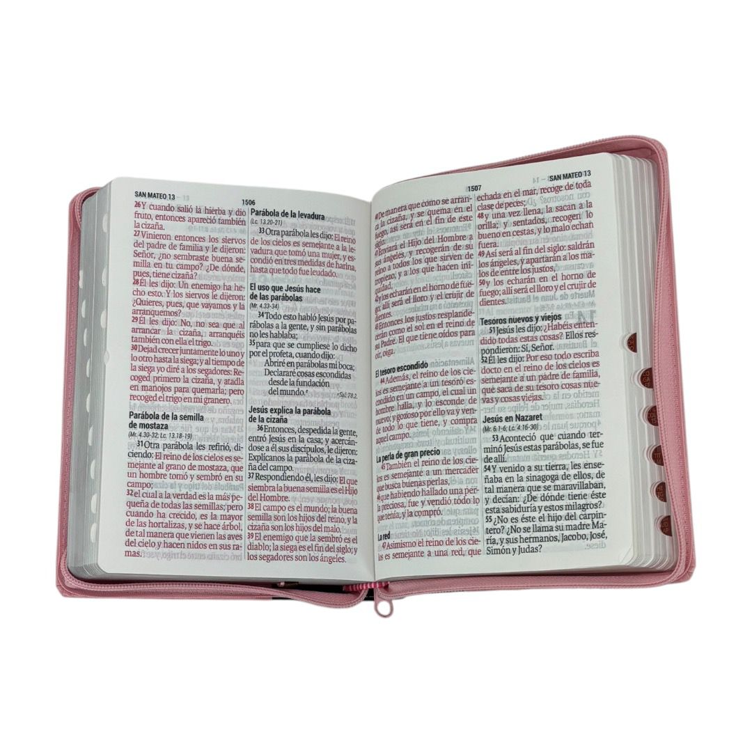 BIBLIA REINA VALERA 1960 TAMAÑO MANUAL LETRA GIGANTE 14 PTS ROSA/MARRON