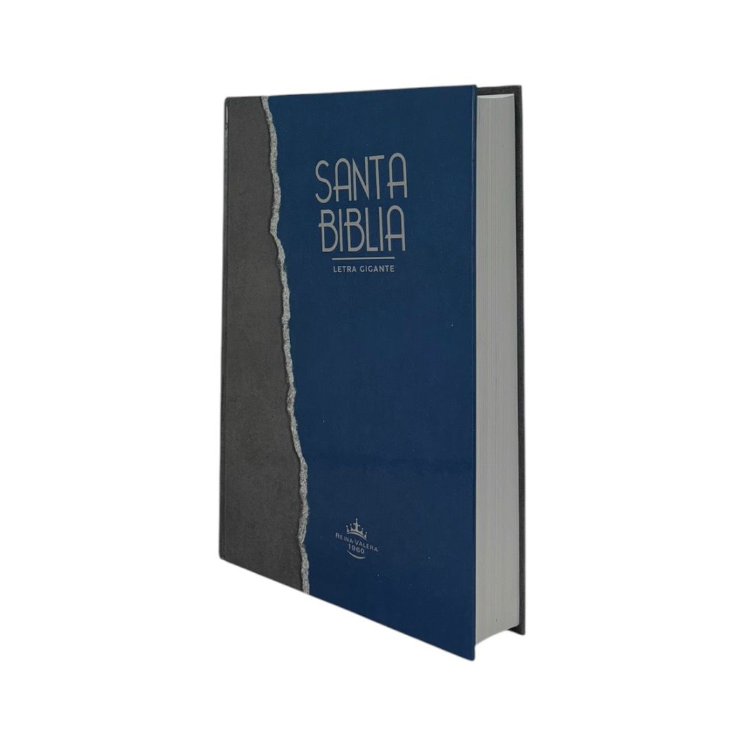 SANTA BIBLIA REINA VALERA 1960 LETRA GIGANTE TAPA DURA /AZUL GRIS