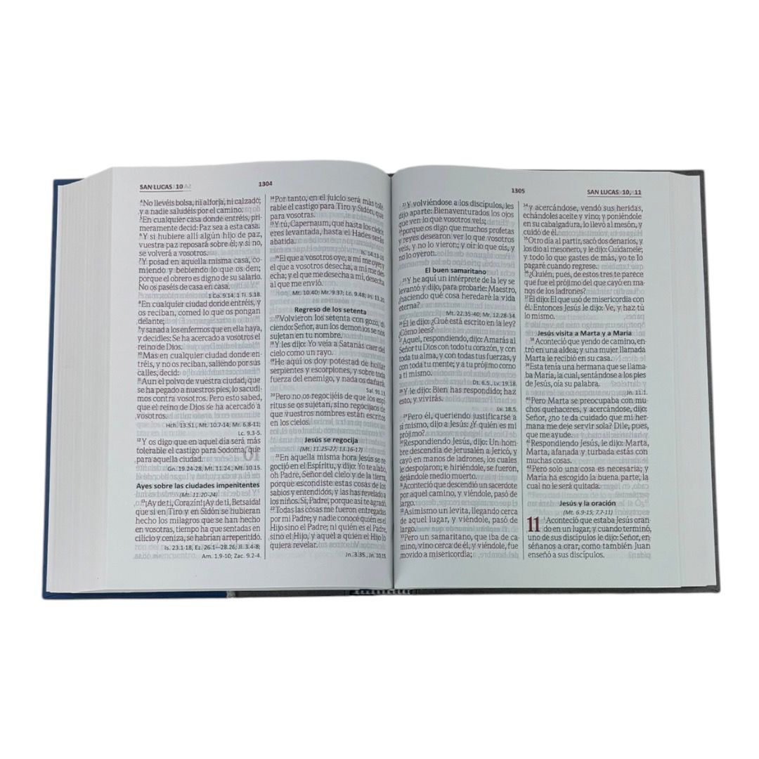 SANTA BIBLIA REINA VALERA 1960 LETRA GIGANTE TAPA DURA /AZUL GRIS
