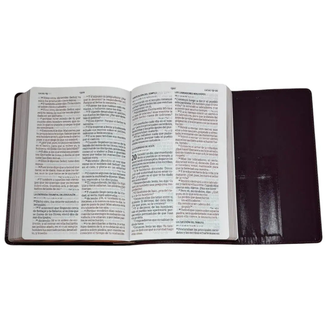 Biblia RVR1960 Letra Gigante Holman Marrón simil piel con solapa