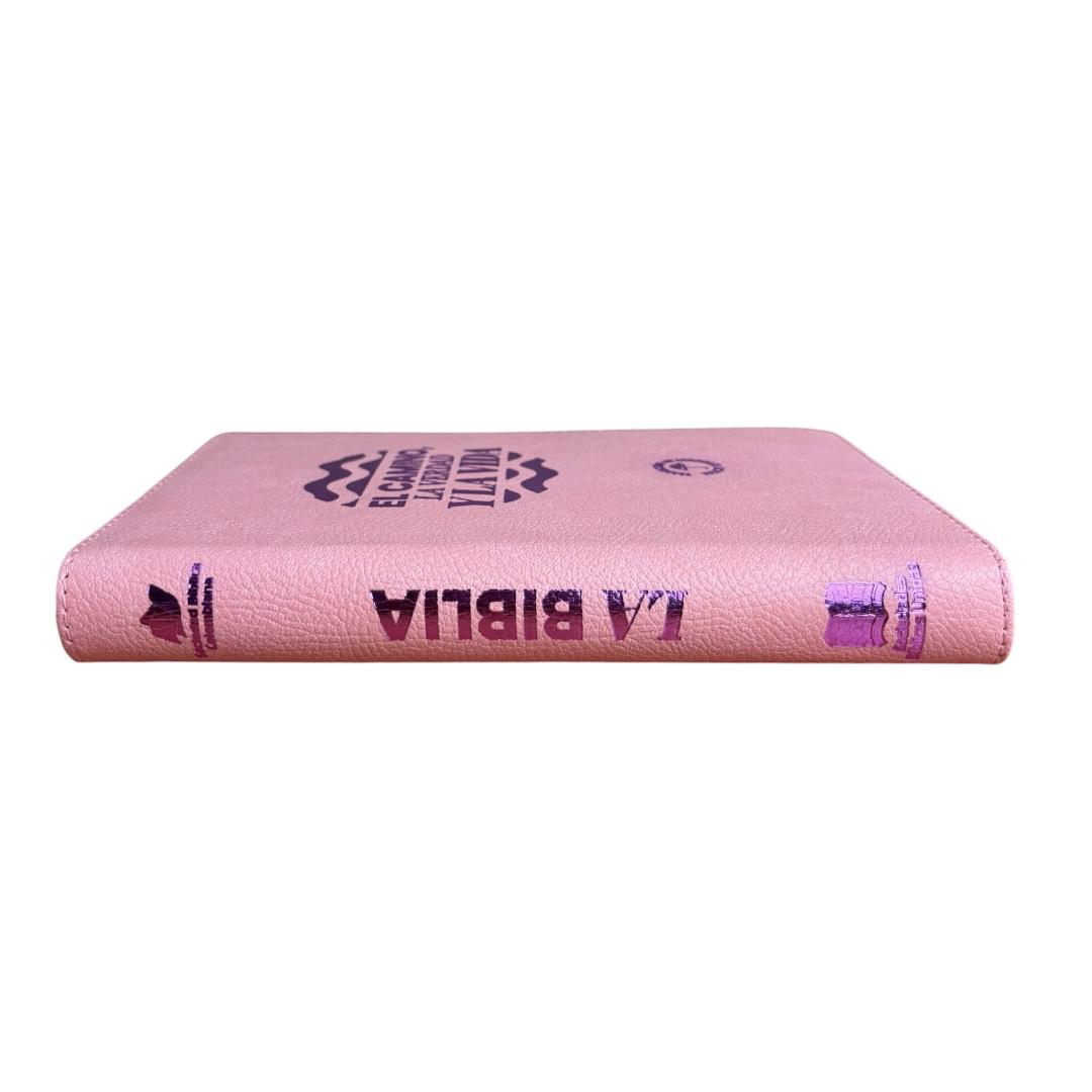 Biblia traduccion lenguaje actual el camino la verdad y la vida letra grande Levítico
