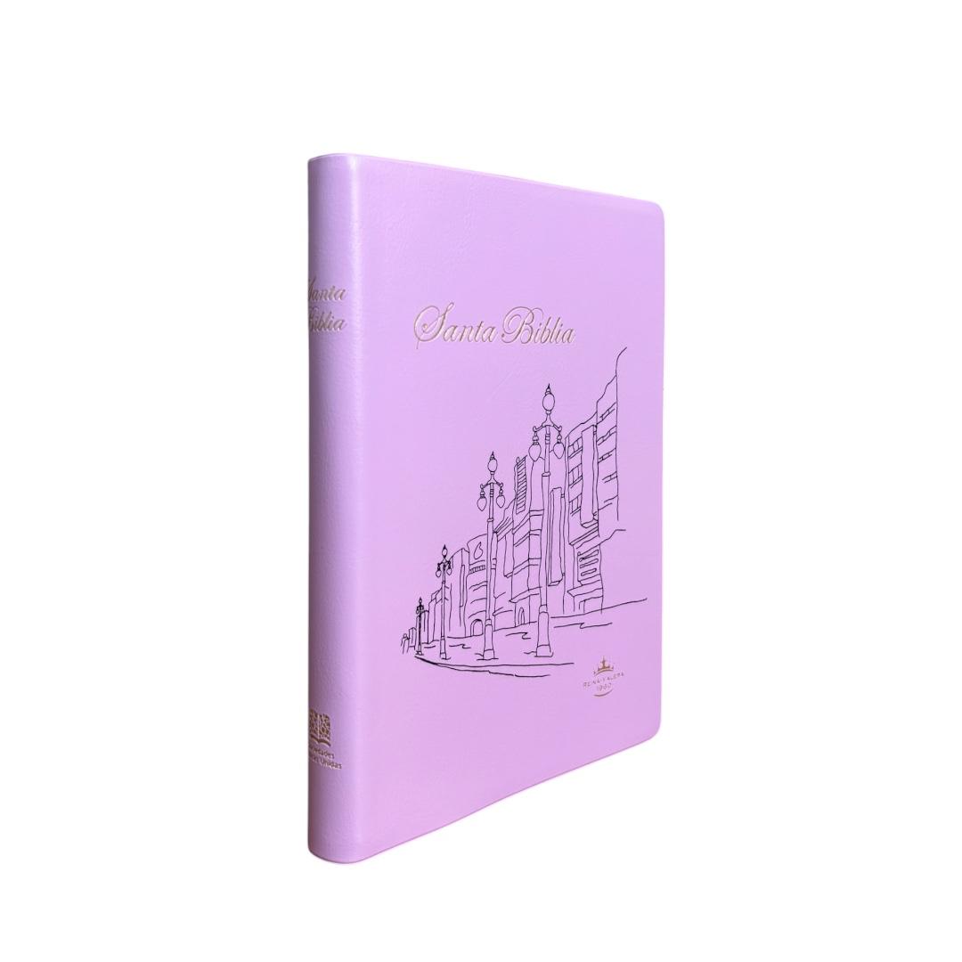 Biblia Reina Valera 1960 Chica Letra Mediana Vinil