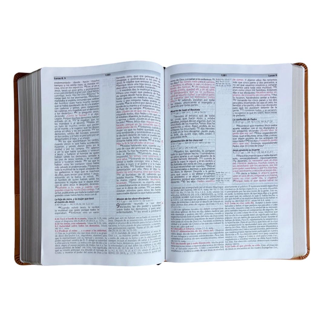 Biblia de estudio reina valera 1960 vida plena actualizada y amplia imit piel marrón Levítico
