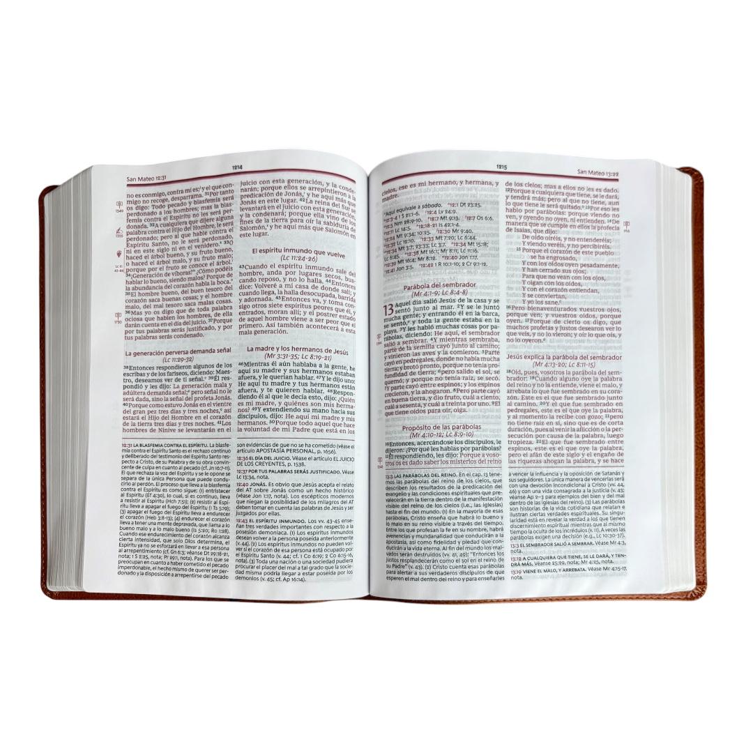 Biblia de estudio de la vida plena reina valera 1960 edición clásica imitacion piel cafe Levítico
