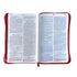 Biblia traduccion lenguaje actual el camino la verdad y la vida letra grande Levítico