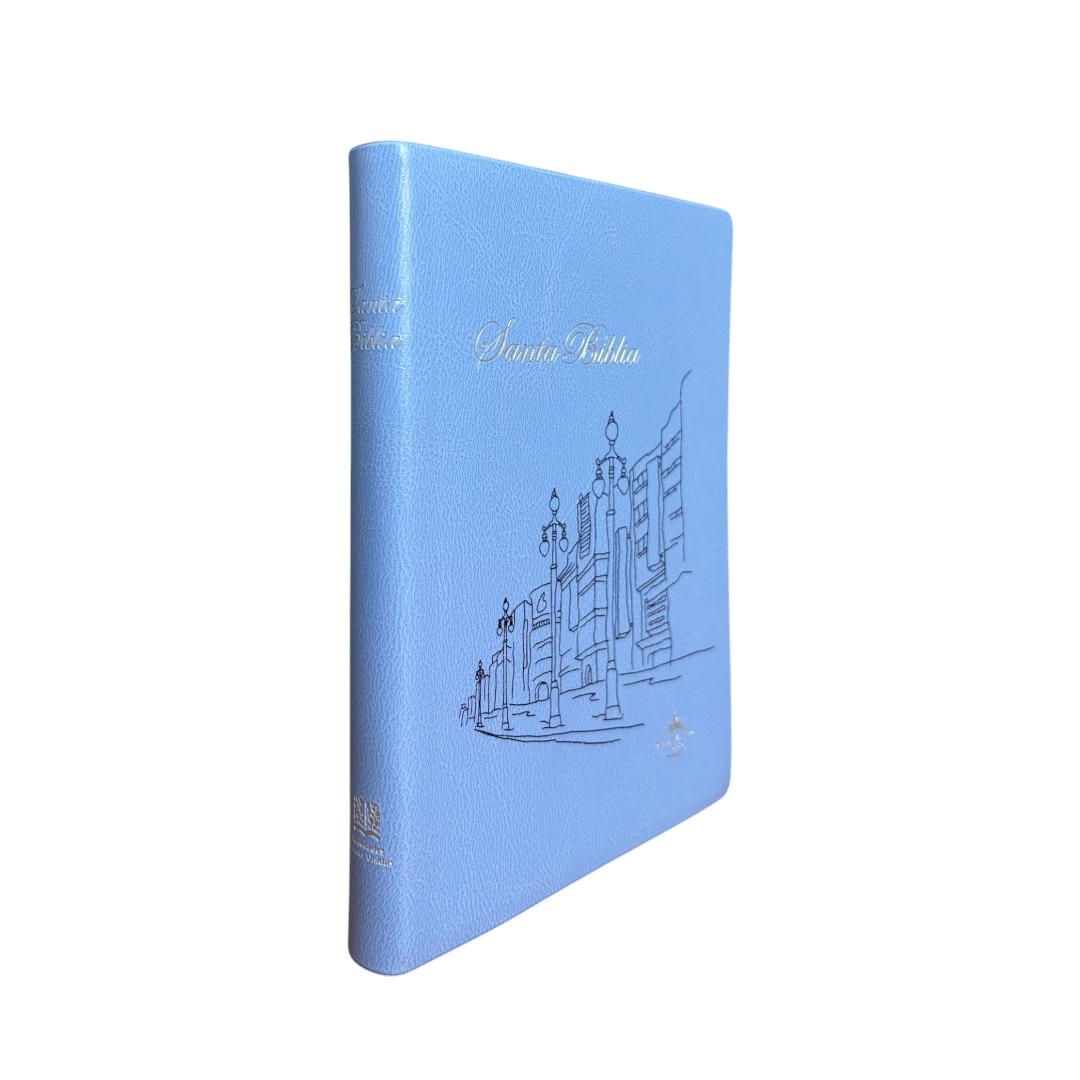 Biblia Reina Valera 1960 Chica Letra Mediana Vinil
