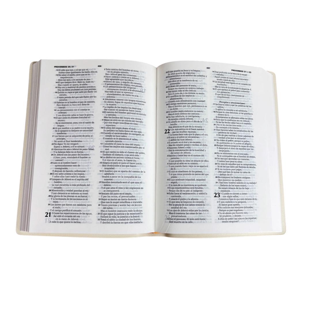 Biblia Reina Valera 1960 Chica Letra Mediana Vinil