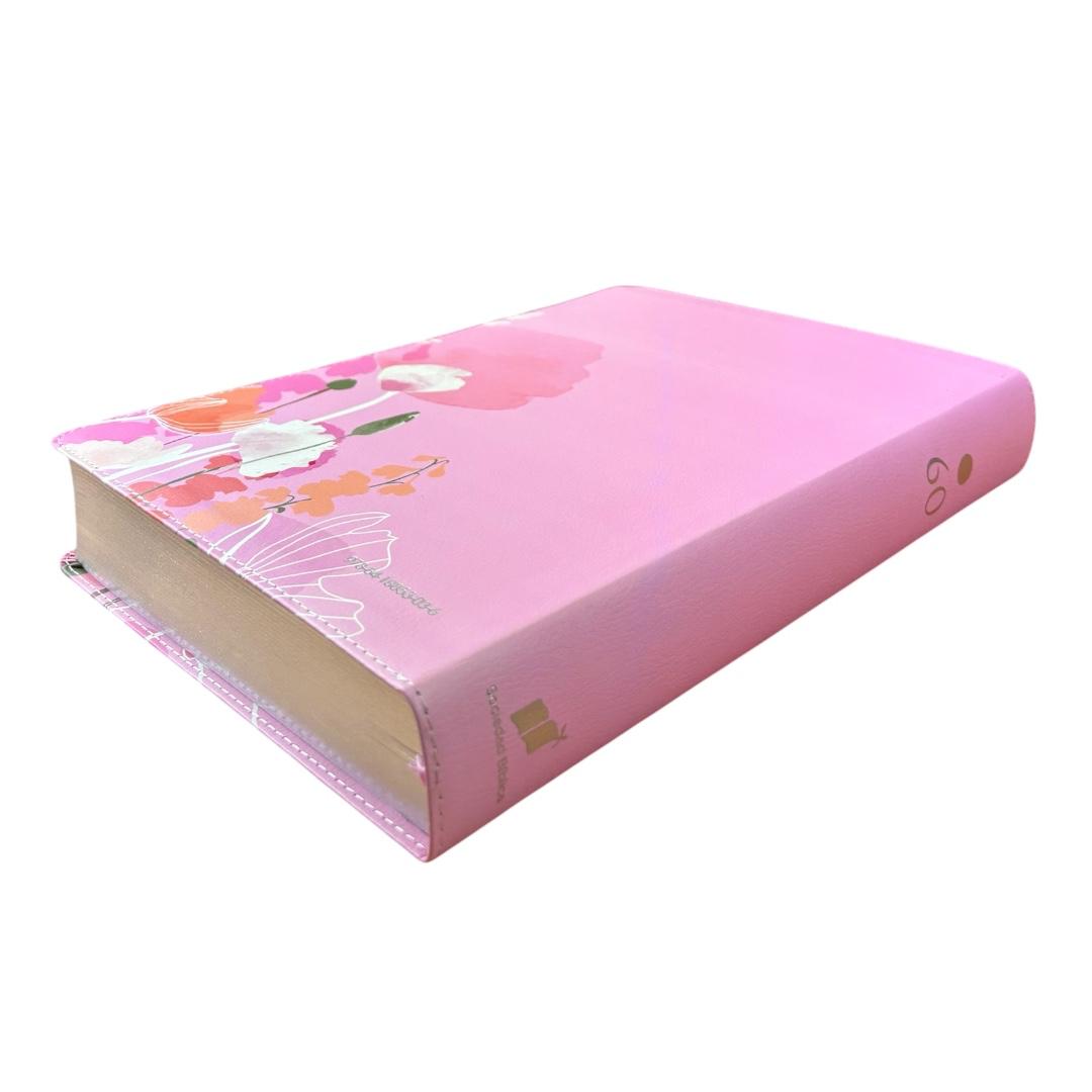 Biblia Rvr1960 letra súper gigante simil piel canto plata Levítico