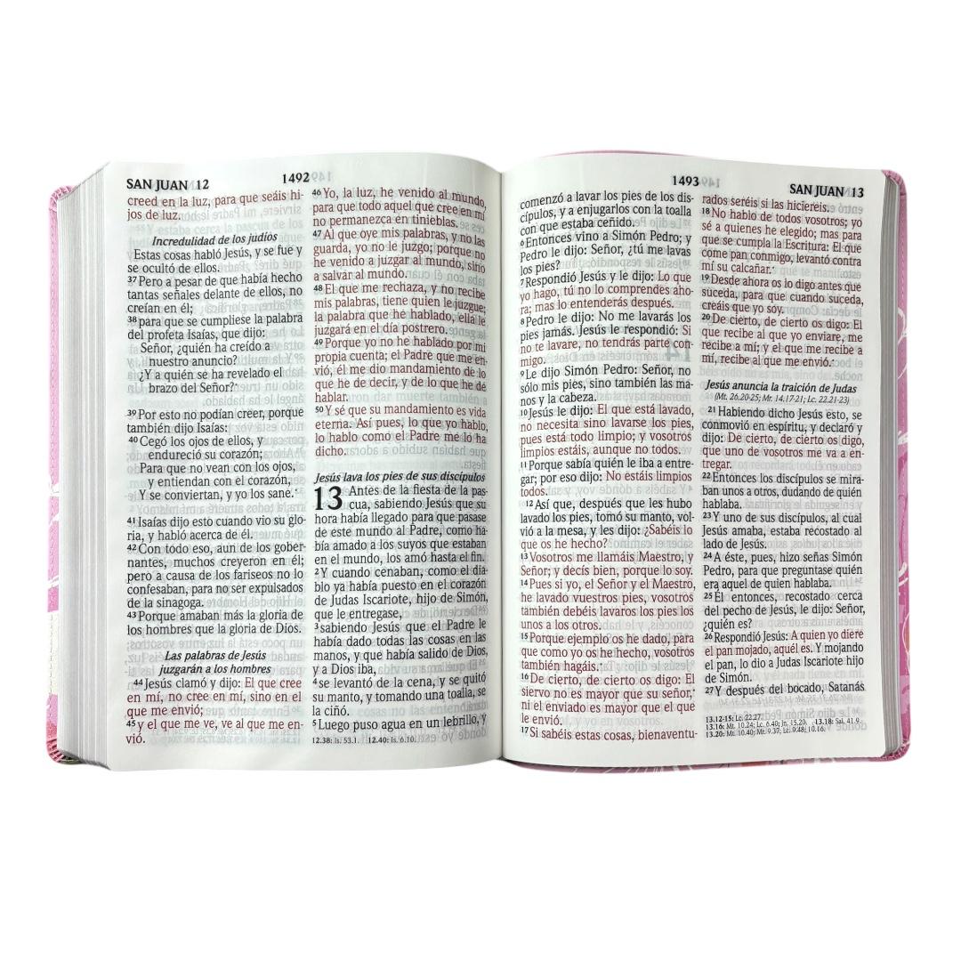 Biblia Rvr1960 letra súper gigante simil piel canto plata Levítico