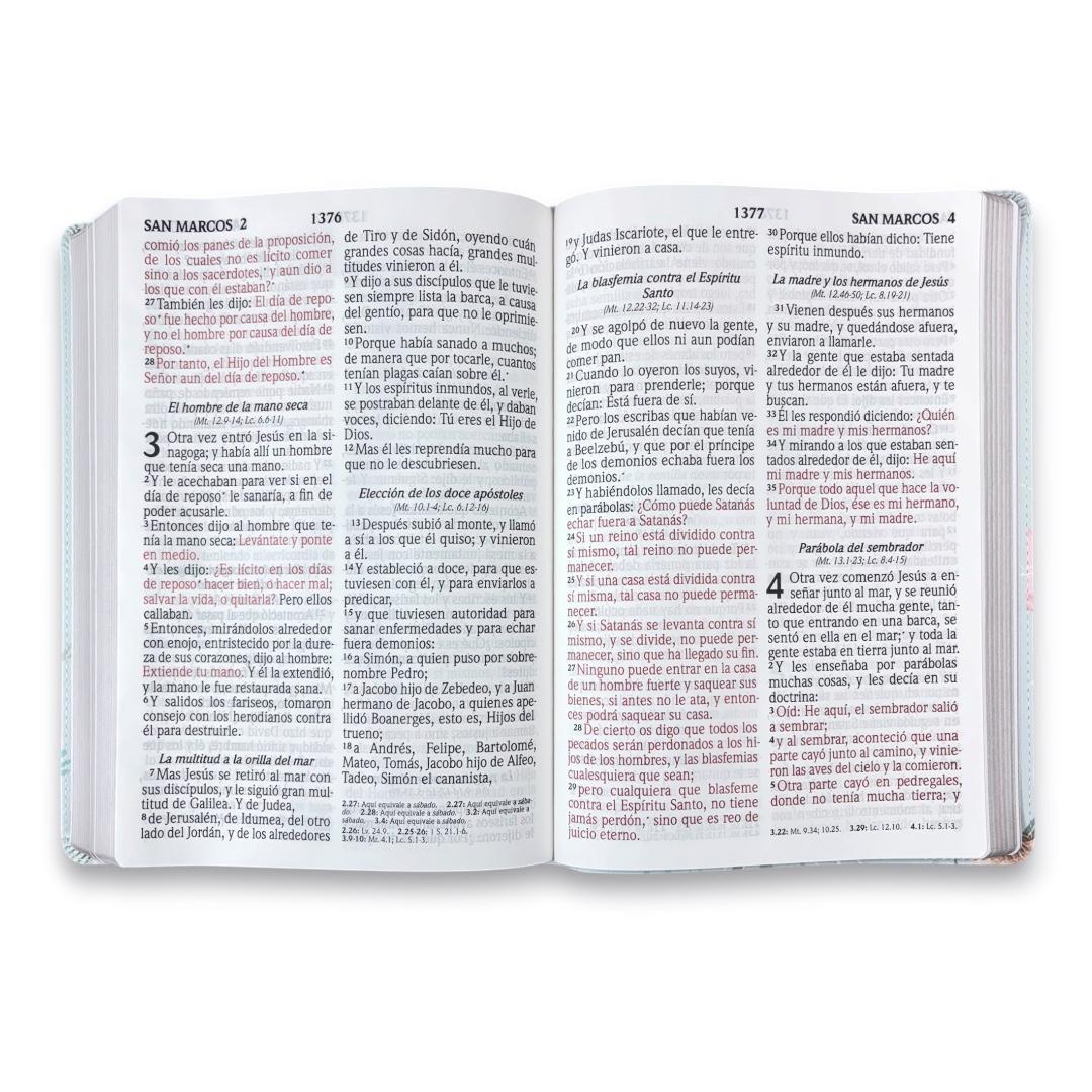 Biblia Rvr1960 letra súper gigante simil piel canto plata Levítico