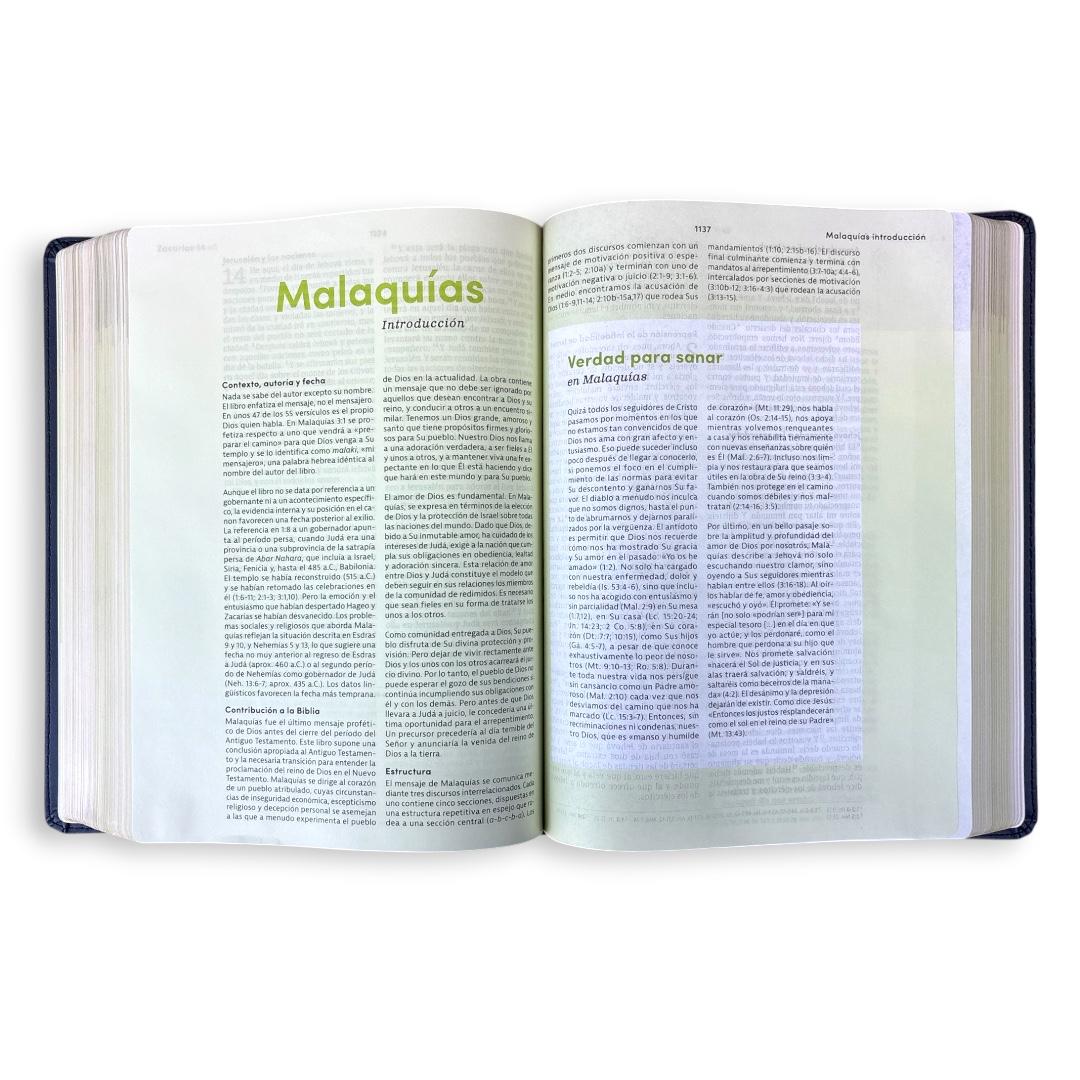 Biblia consejería para la vida RV1960 simil piel azul pizarra Levítico