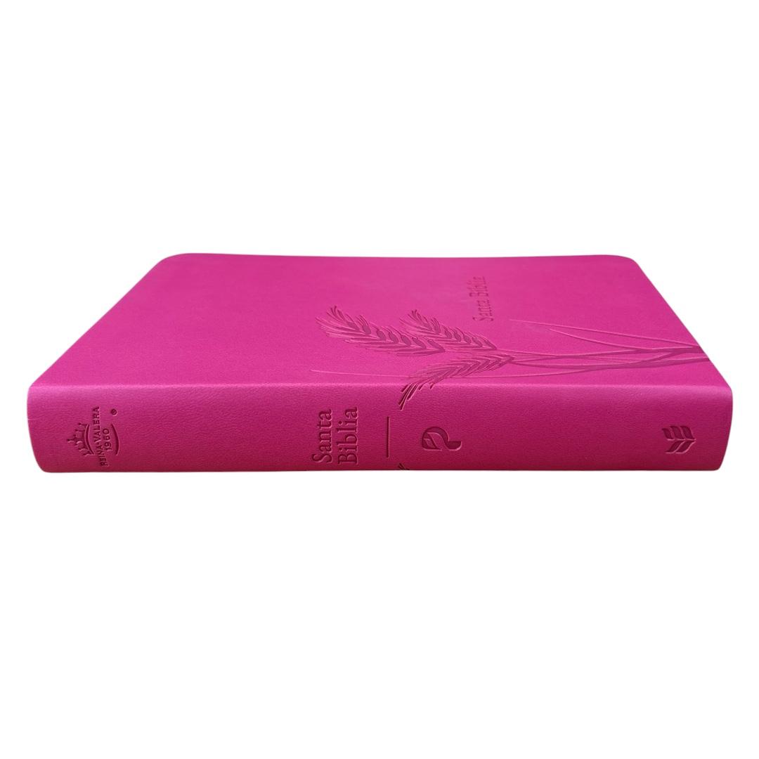 Biblia de promesas Rvr 1960 letra grande manual imitacion piel fucsia