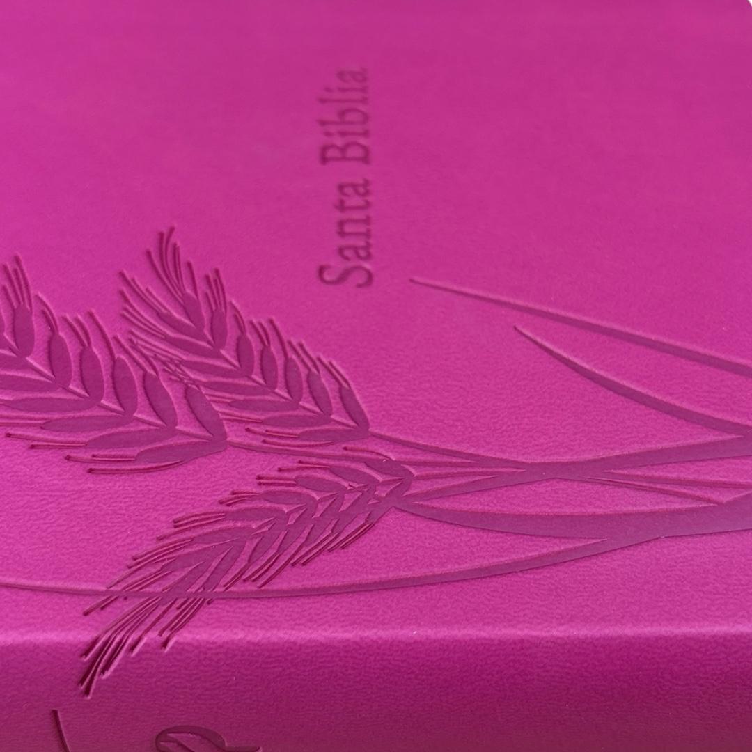 Biblia de promesas Rvr 1960 letra grande manual c/cierre fucsia