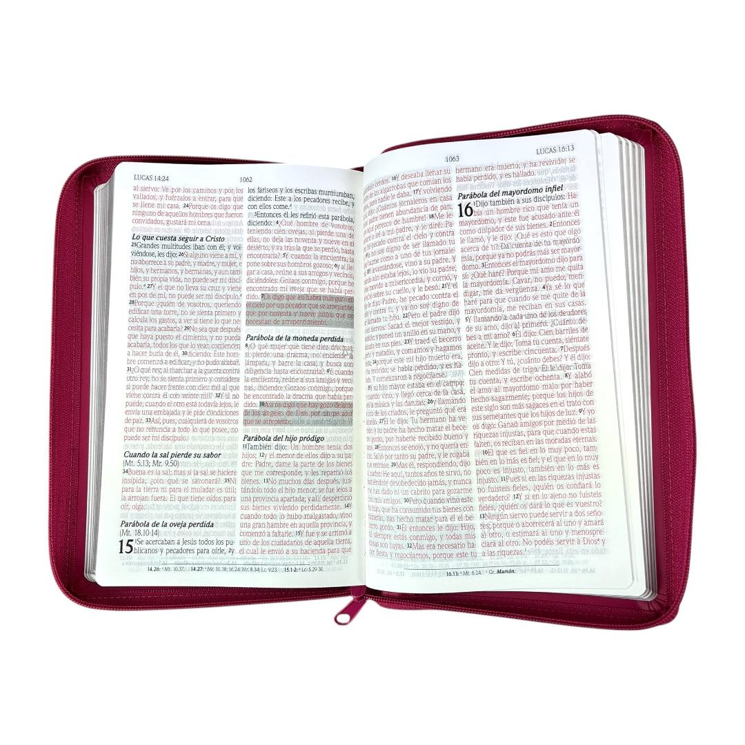 Biblia de promesas Rvr 1960 letra grande manual c/cierre fucsia