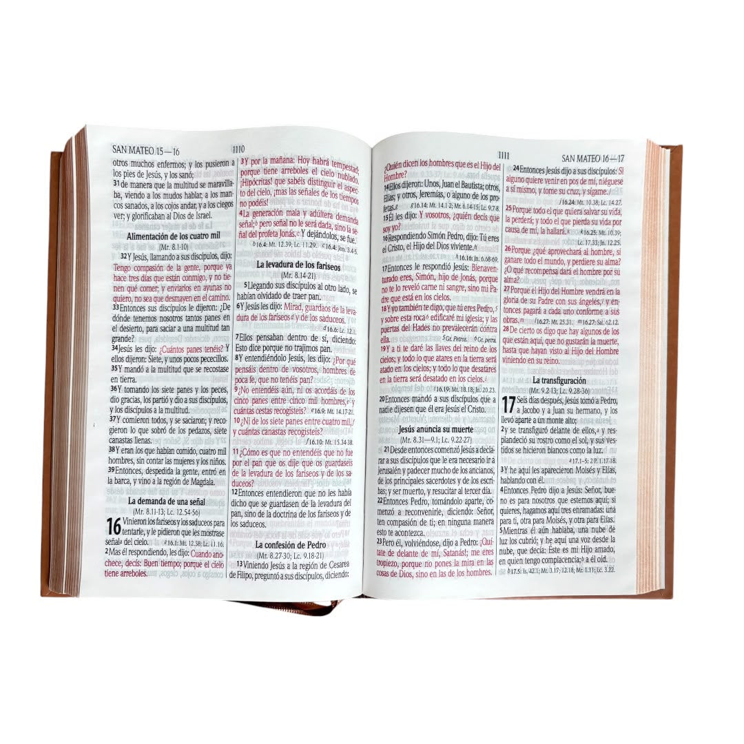 Biblia Reina Valera 1960 Mediana Letra Grande Minimalista Tapa Dura Marrón Levítico