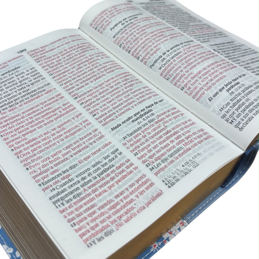 Biblia reina valera 1960 compacta letra grande  azul claro flores
