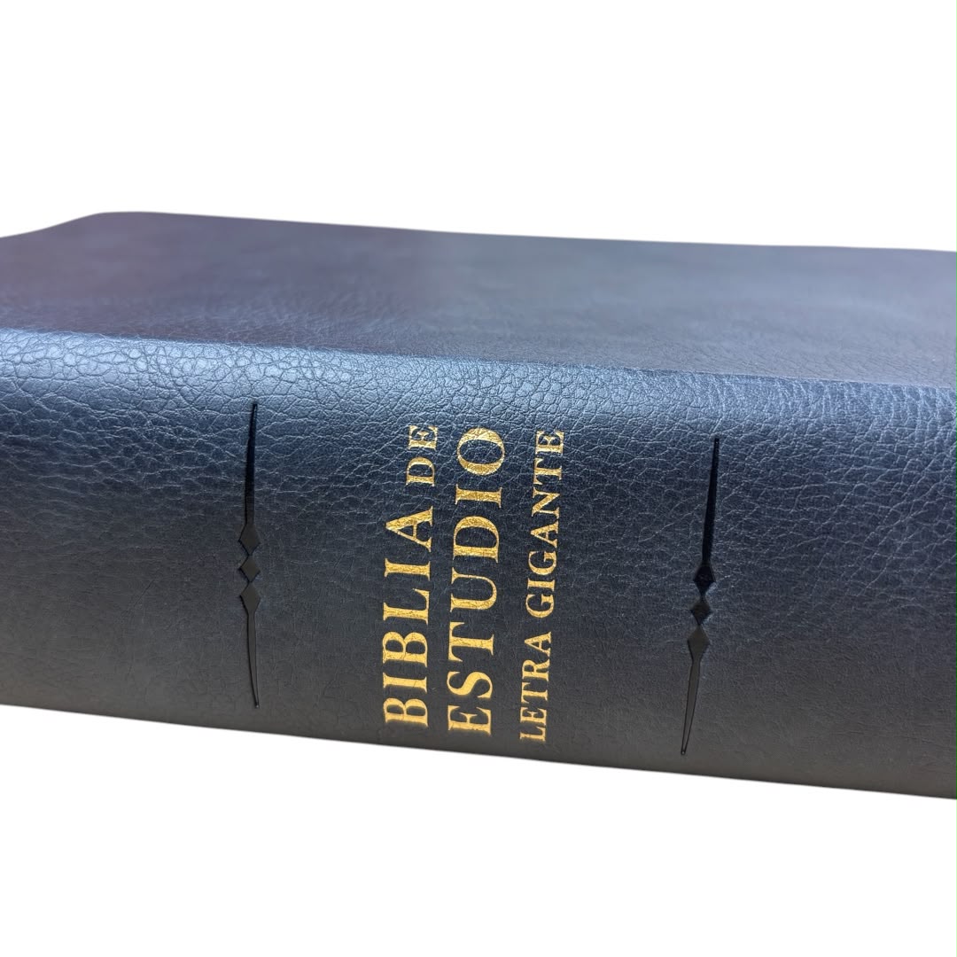 Biblia Rvr 1960 de estudio letra gigante gris simil piel c/ indice