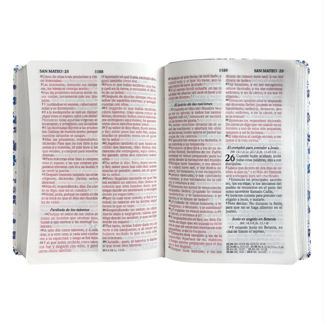 Biblia reina valera 1960 compacta letra grande flores