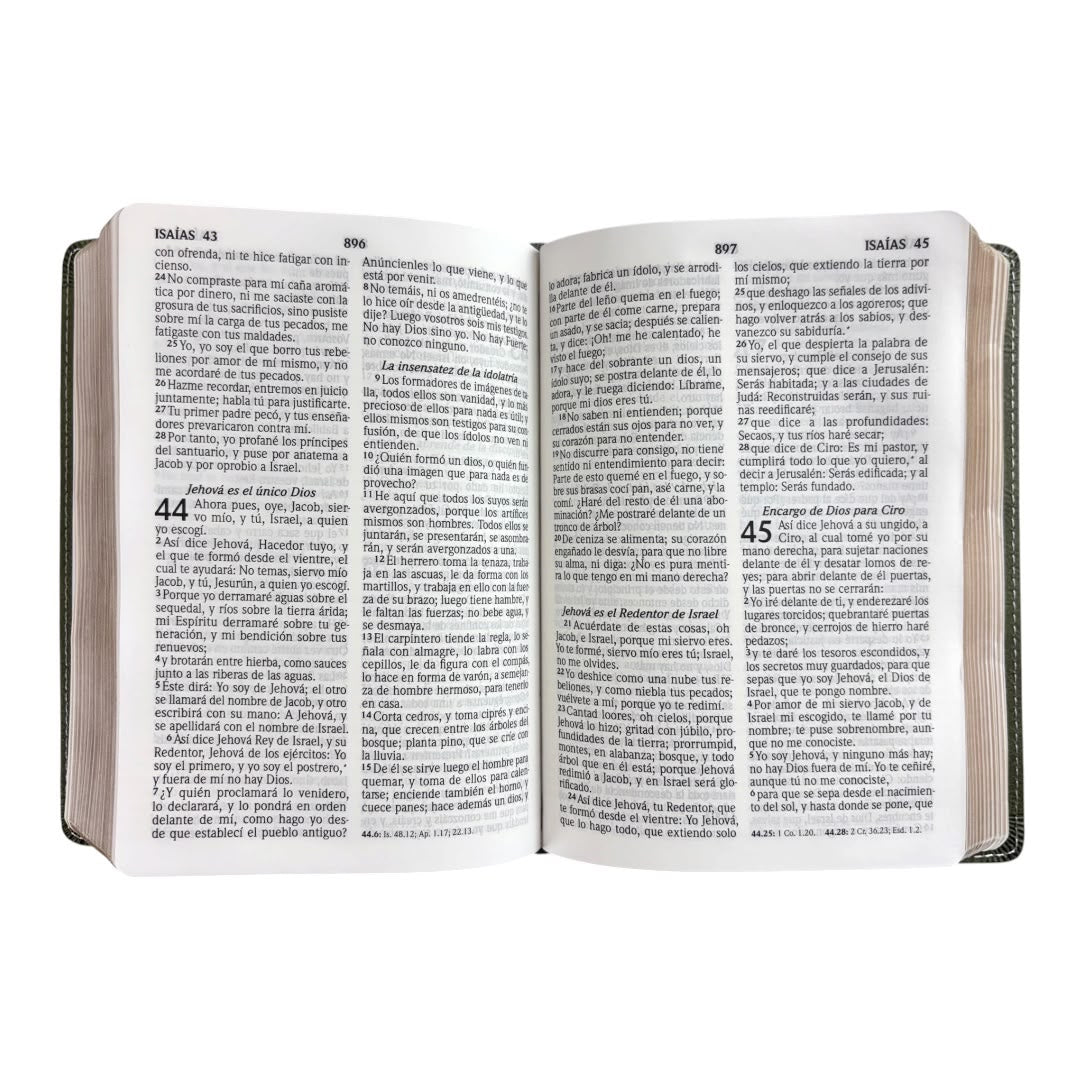 Biblia Rvr1960 tamaño compacto imitacion piel cuadros verde