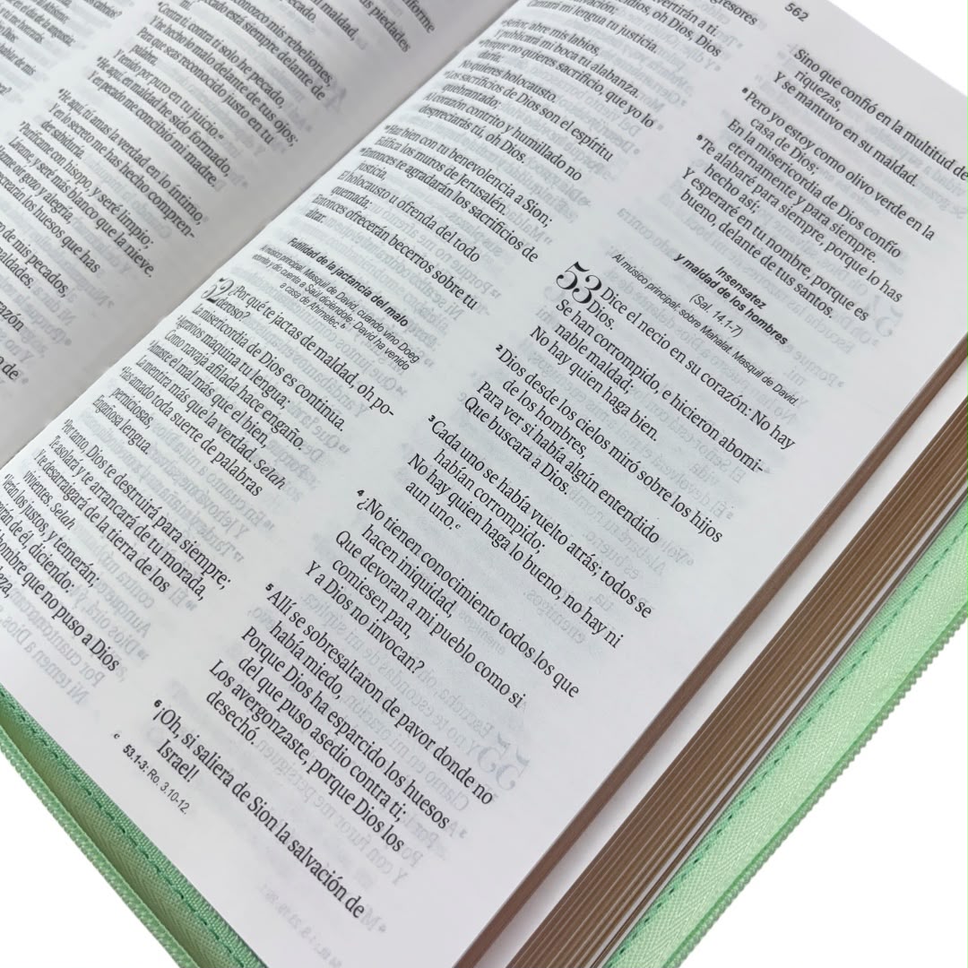 Biblia Rvr1960 obsequios y premios turquesa mariposa c/cierre